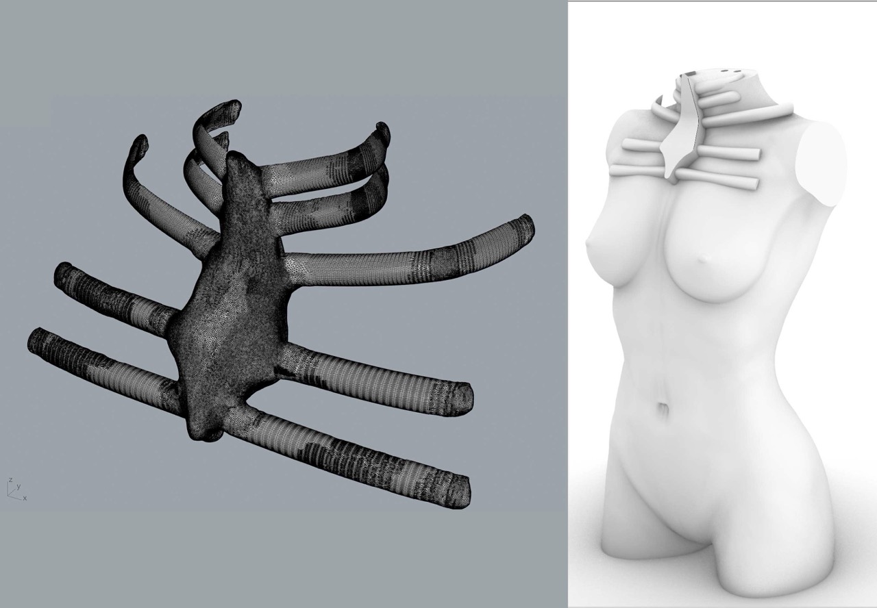 Bare Bone - Process 2